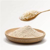 Poudre de Protéine de Riz Biologique Certifiée GMP à Livraison Rapide d'Usine, Vente en Gros, 80% de Protéines, 85% 90% Protéines Hautement Concentrées