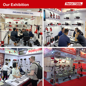 Trung Quốc bán buôn Custom made 38cc e-bắt Đầu 16 "Bar Power Chain Saw - Product Image 6