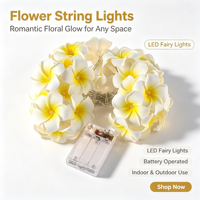 Lampu LED Plumeria HD888 Baru, Lampu Hias Bunga Baterai, Lampu Peri untuk Dekorasi Kamar Tidur & Liburan, Ornamen Bergaya Imut untuk Wanita