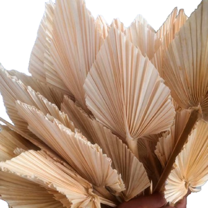Precio de Fábrica, Abanico Grande de Hojas de Palma Secas Tropicales, Hojas de Palma Naturales Secas para el Hogar, Estilo Boho, Día de la Madre, Graduación - Product Image 1