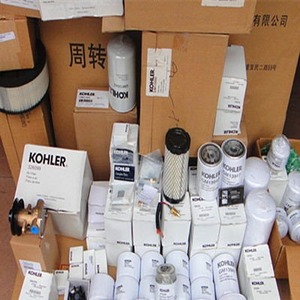 Filtre à gasoil KOHLER GM13947 275501 Élément filtrant pour moteurs de générateurs Pièces essentielles pour les générateurs diesel KOHLER - Product Image 4