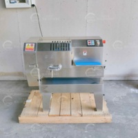 Elektrische transportband multifunctionele groente- en fruitverwerkingsmachine voor het snijden van kokoschips en jong kokosvlees