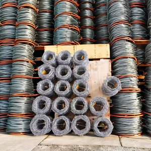 2Mm Dia 25Kg 200M Dây Sắt Thép Gai Chống Trộm Lưới Nhúng Nóng Mạ Kẽm Hàng Rào Thép Không Thấm Nước Giấy + Dệt Túi Joylink Gai - Product Image 5