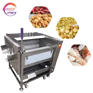 Macchina automatica multifunzione per lavare le patate Taro manioca e zenzero