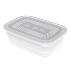 ROTHO Freeze <b>Food</b> <b>Storage</b> <b>Container</b> 1.9 L Set Of 2 For Freezing - Product Image 1