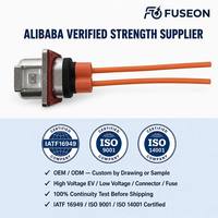 Kabel Harness Konektor Tegangan Tinggi TE Connectivity 1000V untuk Paket Baterai Kendaraan Listrik OEM Kustom