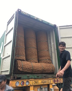 Fibre de coco de haute qualité COIR NET CORDE Fibre naturelle écologique Anti-bactéries Motif teint en brun naturel pour le remplissage - Product Image 2