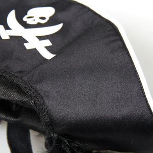 Chapeau de pirate pour animaux de compagnie NAMSAN, pour chiens et chats, costume d'Halloween, chapeau en tissu réglable avec imprimé crâne et épées, accessoire fantaisie - Product Image 2