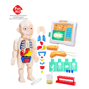 En gros Personnalisé Enfants Scientifique Biologie Physique Éducation Simulé Anatomie Infirmière Figure Médecin Humain Jouets pour Enfants - Product Image 1