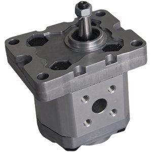 Pompe à engrenages Changjiang CBS-D304, pompe à huile hydraulique de type rotatif en fonte, entraînement électrique - Product Image 1