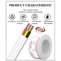 AS/NZS Standard 1,5mm 2,5mm flaches TPS-Kabel 100M/Rolle mit PVC-Isolierung Neuseeland Elektrokabel Standard Wettbewerbs fähiger Preis