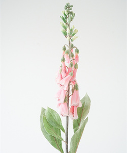 Flores Artificiales de Seda al por Mayor, Resistentes al Agua, Decorativas para el Hogar, Tipo <span class=keywords><strong>Foxglove</strong></span> Blanco, para Bodas, Regreso a Clases y Año Nuevo Chino - Product Image 4