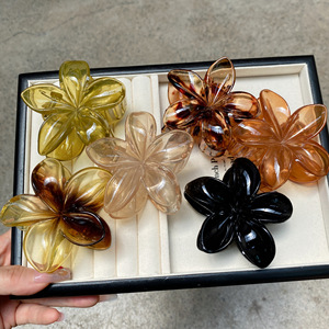 Ensemble de pinces à <span class=keywords><strong>cheveux</strong></span> fleur d'oeuf violet Bauhinia <span class=keywords><strong>pince</strong></span> requin pour tête arrière accessoires pour <span class=keywords><strong>cheveux</strong></span> de fille en plastique résine - Product Image 4