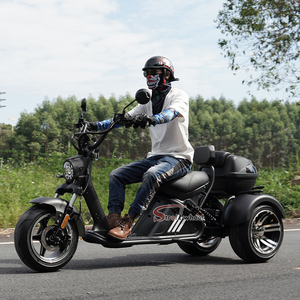 Elettrico Citycoco veloce velocità <span class=keywords><strong>3</strong></span> ruote triciclo Scooter elettrico ciclomotore adulto 2000w Trikes <span class=keywords><strong>3</strong></span> ruote moto - Product Image 3