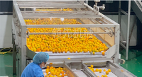 Fruit Verwerking Lijn/Vruchtensap Verwerkingsbedrijf/Industriële Oranje Passie Sap Extraheren Machine
