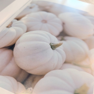 Livre personnalisé imprimé en couleur avec reliure parfaite, papier offset et papier d'art pour commandes en gros - Product Image 1