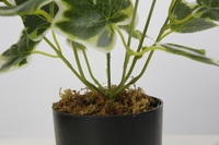 Offres Spéciales Table Plantes Bonsaï Plantes à Feuillage Feuilles Vertes Plantes Artificielles Décoratives Décor À La Maison
