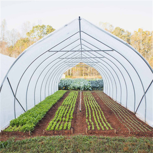 Film ultra-violet <span class=keywords><strong>agricole</strong></span> en polyéthylène 100 m, couverture des légumes, tomates, fleurs, Style cerceau, utilisé dans une <span class=keywords><strong>serre</strong></span> - Product Image 5