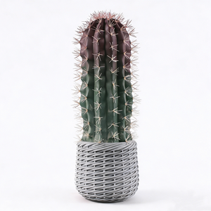Décoration de <span class=keywords><strong>cactus</strong></span> artificiel en pot, plante succulente artificielle, bonsaï pour le bureau, la <span class=keywords><strong>maison</strong></span>, la décoration de fête - Product Image 1