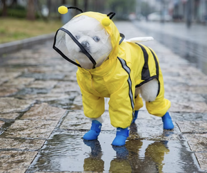 Honden buitenregenjas met vier poten, waterdicht ontwerp, 3D dinosaurustail, teddy, voor middelgrote en grote honden, alle seizoenen kleding - Product Image 6