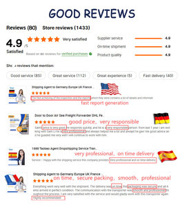 Transitaire : Tarif maritime le plus bas pour le transport de marchandises de Guangdong vers l'UE (Allemagne, Italie) avec service d'expédition DDP - Product Image 6