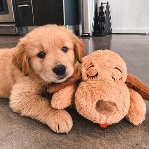 Yavru kalp atışı için kalp atışı köpek oyuncak dolması hayvan gıcırtılı oyuncak köpekler Pet anksiyete kabartma ve sakinleştirici yardım peluş köpek kalp atışı oyuncak - Product Image 3