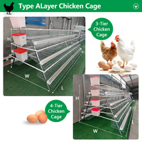Cage à poules pondeuses de type A, cages en batterie à étages, en treillis d'acier galvanisé à chaud, 96-160, longue durée de vie