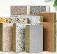 Panneau d'isolation sous vide en silicate de calcium intégré, panneau d'isolation ignifuge intégré moderne pour la décoration des murs extérieurs