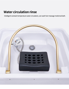 Cama de Spa Eléctrica 2 en 1 Portátil de Acero Inoxidable y Cuero Sintético Acrílico con Lavabo Modelo TH209 - Product Image 5