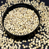 Poivre Blanc Indien Bio Entier de Qualité Supérieure FitTree International, Grains Entiers de Malabar Non-OGM, Granulés Séchés en Vrac, Durée de Conservation 24 Mois