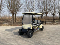 Voiturette de golf télécommandée, buggy tout-terrain électrique avec benne de chargement, 4 places, chariot utilitaire, Australie