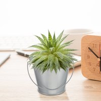 Ember logam kecil hadiah Paskah ember ember untuk hadiah mainan emas mini lanskap pot bunga ember