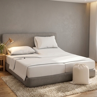 Parure de lit 5 pièces moderne en coton égyptien 100% (1000 fils) respirante et rafraîchissante, taille Split King, lavable en machine, douce et profonde