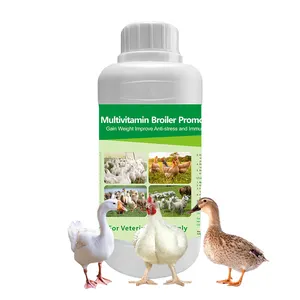 oral solution for broiler gain weight solution buvable pour la prise de poids des poulets de chair vitamin lysine DL boost