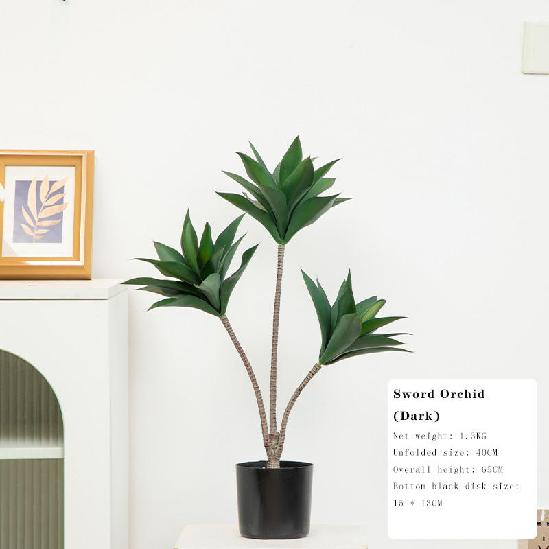 Jianlan (ลิลลี่น้ำมงกุฎ) มืด