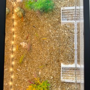 Trapezoidal Fish Viewing Tunnel White And Black ABS Aquarium Decoration For Shrimp Sanctuary Hiding House Landscaping - Product Image 2