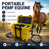 Appareil PEMF OEM pour chevaux, améliore la flexibilité et la mobilité des articulations, grand dispositif de soin magnétique PEMF à boucle pour usage domestique