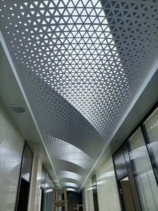 Customized Modern Design Perforated Metal Facade Screen Cladding Panel Made of Aluminium - Product Image 4