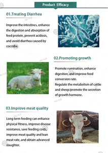 Aliment pour bovins et ovins, booster de croissance pour l'engraissement du bétail, prémélange d'additifs alimentaires pour une augmentation rapide du poids - Product Image 5