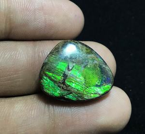 Canadien naturel Ammolite Forme Libre Cabochons Pierres Précieuses En Vrac - Product Image 2