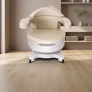Silla de Terapia Magnética Comercial para Salón de Belleza, Cuidado Postparto y Gestión de la Salud Íntima - Product Image 1