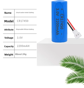 Batterie au lithium 3.6v ER10450,ER14250,ER14505,ER14335,ER17335,ER17505,ER18505,ER26500,ER34615,ER261020,<span class=keywords><strong>ER9V</strong></span> - Product Image 2