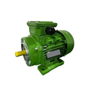Motor de inducción trifásico YE1-80M1-6 personalizado de fábrica, 0.37kW 0.5HP 50/60Hz, motor eléctrico de inducción de CA - Product Image 1