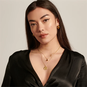 Joyería fina 925 collar de plata esterlina 18K oro Capricornio Zodiaco 12 constelación joyería colgante collar para mujer - Product Image 4