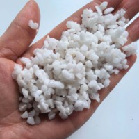 Полированная натуральная каменная брусчатка и речные камни: Экологичный и долговечный декор для ландшафтного дизайна, для использования внутри и снаружи помещений, на фермах и в парках