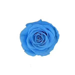 Wholesale High Quality Beautiful Rose Heads Preserve Big Roses Preserved Flowers