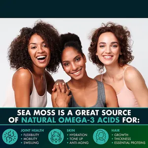 Organic Sea Moss Capsules Detox Immunity Supply Seamoss Bladderwrack Burdock Weight Loss Product Slimming Supplemen