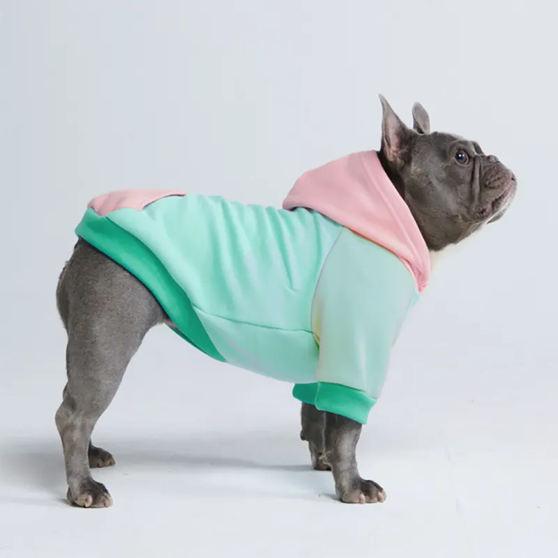 Customized designer pet clothes for xxs dog clothes luxury brand fashion vendors private label dog hoodies sweatshirt xxl