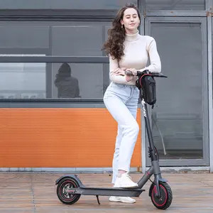 En çok satan 8.5 inç elektrikli Scooter yetişkin İngiltere ve gemi avrupa depo 250W M365 Pro elektrikli Scooter