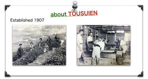 ผงส่วนผสมสะระแหน่เพื่อสุขภาพผงชาเขียวมัทฉะญี่ปุ่น - Product Image 4